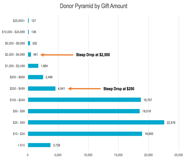 Donor Pyramid by Donor Count.png