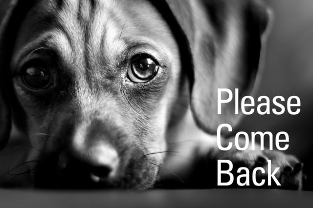 please-come-back-puppy-lapsed-donor-reactivation.jpg