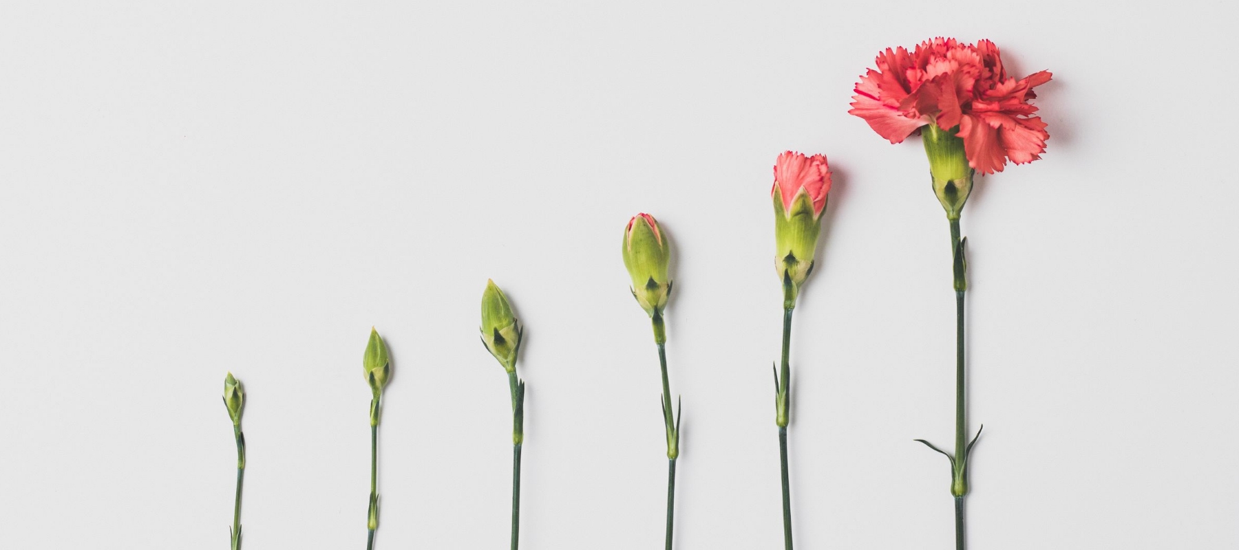 Heroic Fundraising blog featured image growth