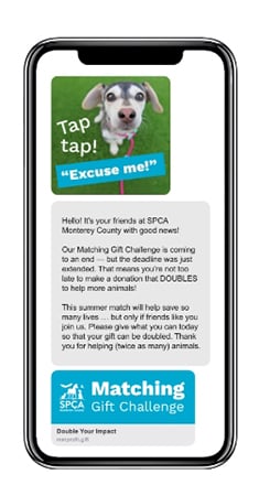 A text message shows a pup asking for attention, then reminds supporters about a matching-gift deadline.