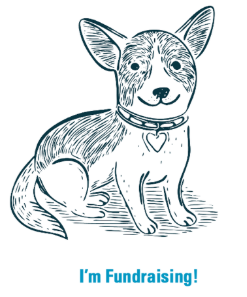 A dog with a heart charm on their collar says, "I'm Fundraising!"