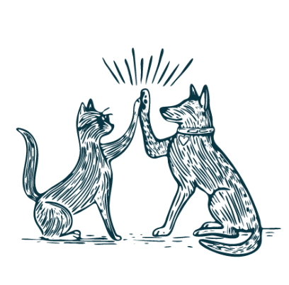The dog and cat give each other a high-five with their paws!