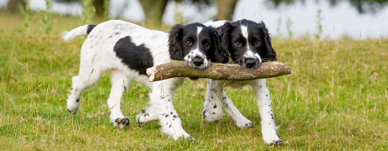 5 Building Blocks for Collaborative Fundraising Partnerships