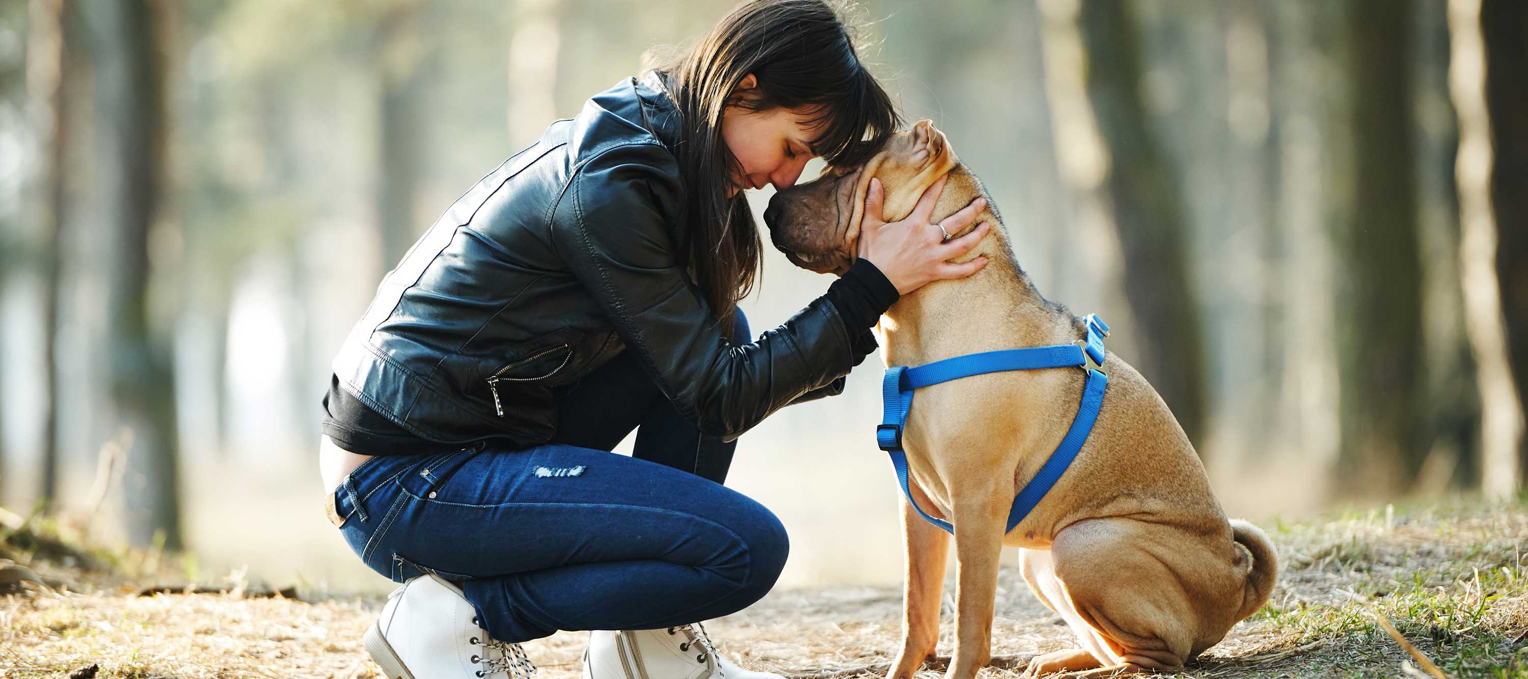 what dogs can teach fundraisers