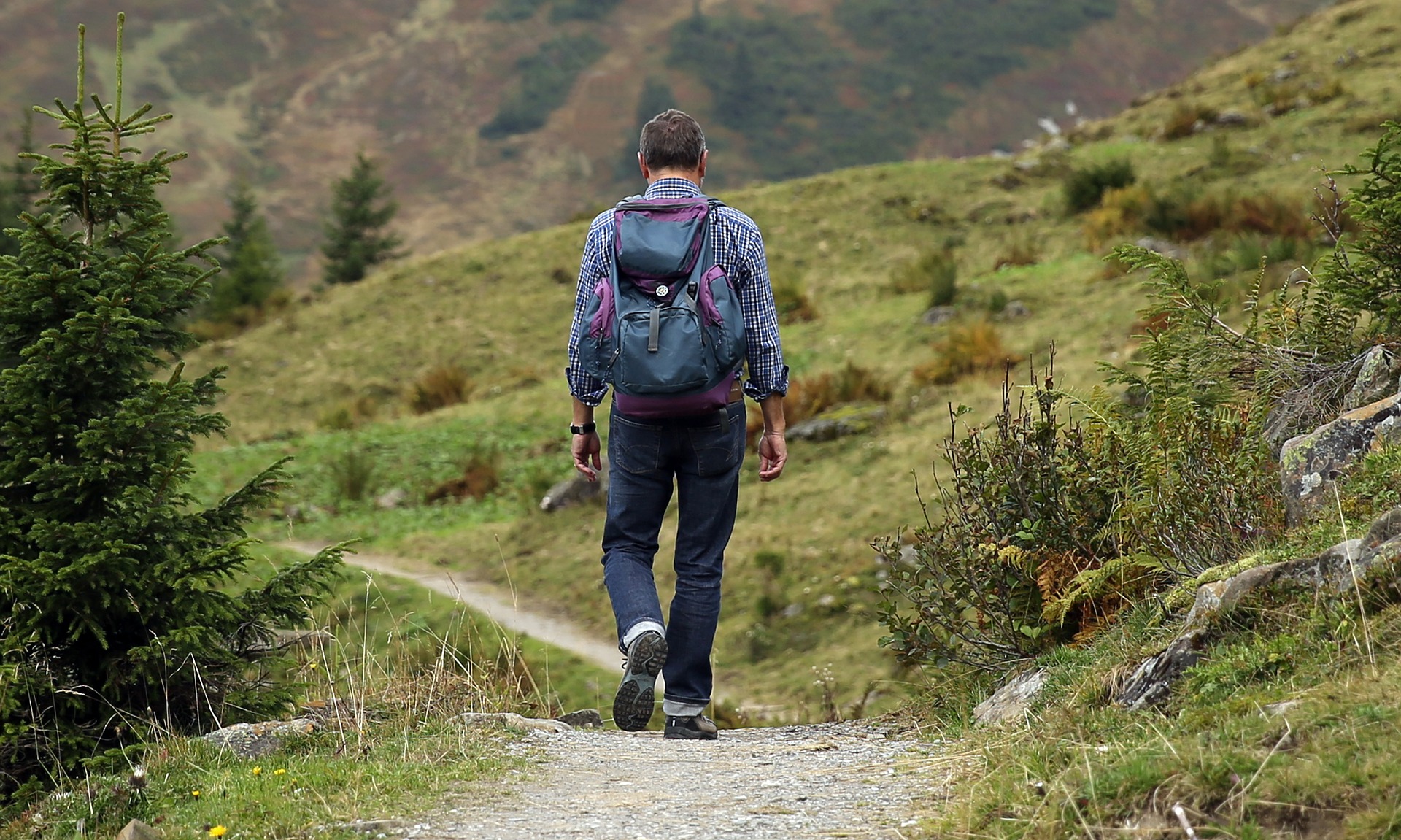 stock image walking path man hike