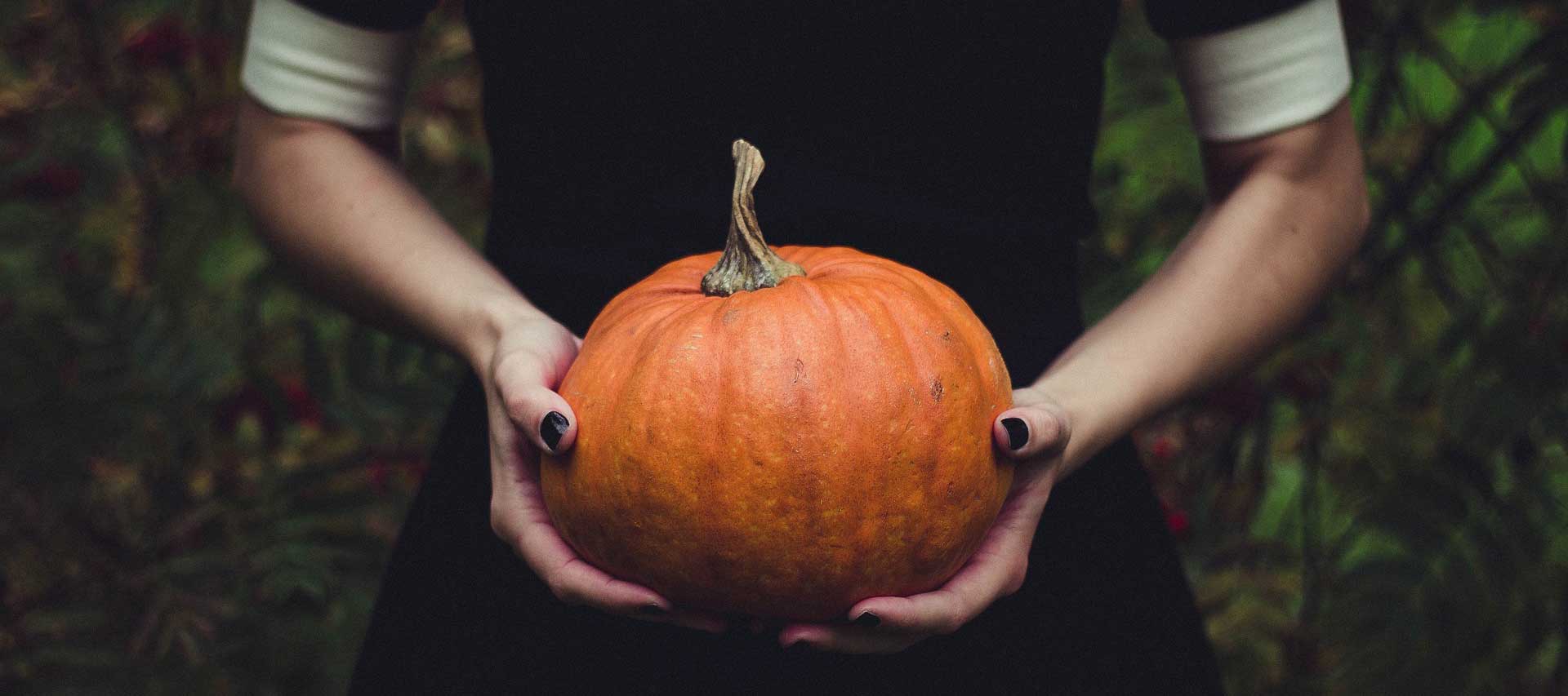 pumpkin-the-ringer-featured-image